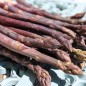 Preview: Spargel Violetto (Samen)