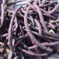 Preview: Stangenbohne Trionfo Violetto (Samen)