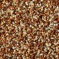 Preview: Teff Hirse (Samen)