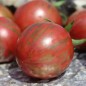 Preview: Tomate Black Vernissage (Samen)