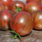 Preview: Tomate Black Vernissage (Samen)