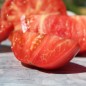 Preview: Tomate Brandywine pink (Samen)