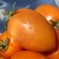 Preview: Tomate Butterscotch (Samen)