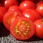 Preview: Tomate Chibikko Microdwarf (Zwergtomate) (Samen)