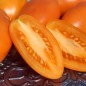 Preview: - Kopie - Kopie - Kopie - Kopie