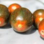 Preview: Tomate Cookie Select (Samen)