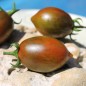 Preview: Tomate Cookie Select (Samen)