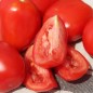 Preview: Tomate Czibis (Buschtomate) (Samen)