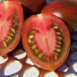 Preview: Neu! Tomate Datterino Nero (Samen)