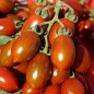 Preview: Neu! Tomate Datterino Nero (Samen)