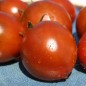 Preview: Tomate De Barao braun (freilandgeeignet) (Samen)