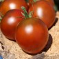 Preview: Tomate De Barao braun (freilandgeeignet) (Samen)