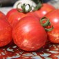 Preview: - Kopie - Kopie - Kopie