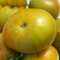 Preview: Tomate Emerald Apple (Samen)