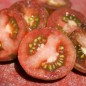 Preview: Tomate Extravagante Rouffiange (Samen)