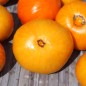 Preview: - Kopie - Kopie - Kopie - Kopie - Kopie