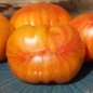 Preview: Tomate Lithium Sunset (Samen)