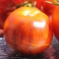 Preview: Tomate Lucid Gem (Samen)