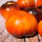 Preview: Tomate Lucid Gem (Samen)