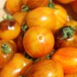 Preview: Neu! Tomate Microdwarf Golden Hour (Samen)