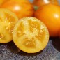Preview: Neu! Tomate Microdwarf Golden Hour (Samen)