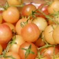 Preview: Tomate Mirabelle Blanche (Samen)