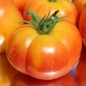 Preview: Tomate Oaxacan Jewel  (Samen)