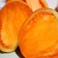 Preview: Tomate Oxheart Orange (Samen)