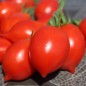 Preview: Tomate Piennolo del Vesuvio (Lagertomate) (Samen)
