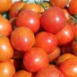 Preview: Tomate Pink Bumblebee (Samen)