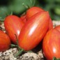 Preview: Tomate Pink Tiger (Buschtomate) (Samen)