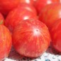 Preview: Tomate Pink Vernissage  (Samen)