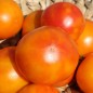 Preview: Tomate Skykomish (Samen)
