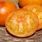 Preview: Tomate Skykomish (Samen)