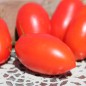 Preview: Tomate Soleil Rouge (Samen)