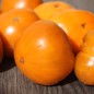 Preview: Tomate Uluru Ochre (Buschtomate) (Samen)