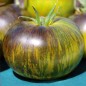 Preview: Neu! Tomate Xanadu Green Goddess (Samen)