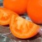Preview: Tomate Zloty Ozarowski (freilandgeeignet) (Samen)