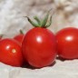 Preview: Neu! Tomate Zuckerino Lukas (Multiflora) (Samen)