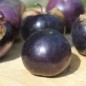 Preview: Tomatillo Deep Purple (Samen)