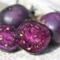 Preview: Tomatillo Deep Purple (Samen)