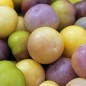 Preview: Tomatillo Diiwwii Of (Samen)