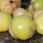 Preview: Tomatillo Gigante (Samen)