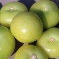 Preview: Tomatillo Gigante (Samen)