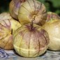 Preview: Tomatillo Mexican Husk (Samen)