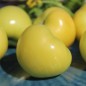 Preview: Tomatillo Mramorii (Samen)