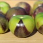 Preview: Tomatillo Purple Coban (Samen)