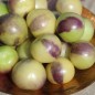 Preview: Tomatillo Purple de Milpa (Samen)