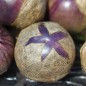 Preview: Tomatillo Vallisto