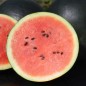 Preview: Wassermelone Bush Sugar Baby (Samen)